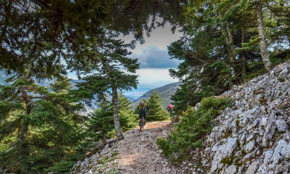 Διασώθηκαν οι τρεις πεζοπόροι που χάθηκαν στην Πάρνηθα